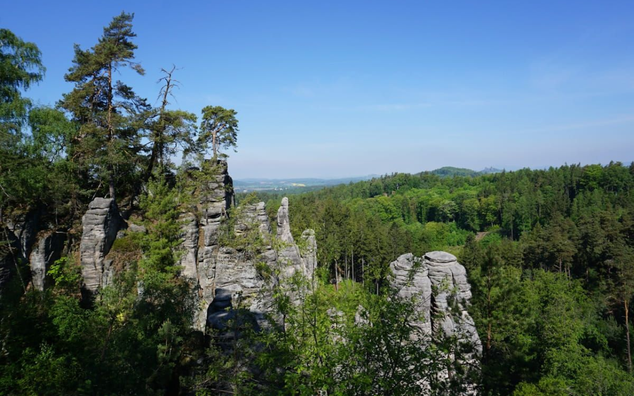 Rocky limestone cliffs above a dense green forest under a clear blue sky