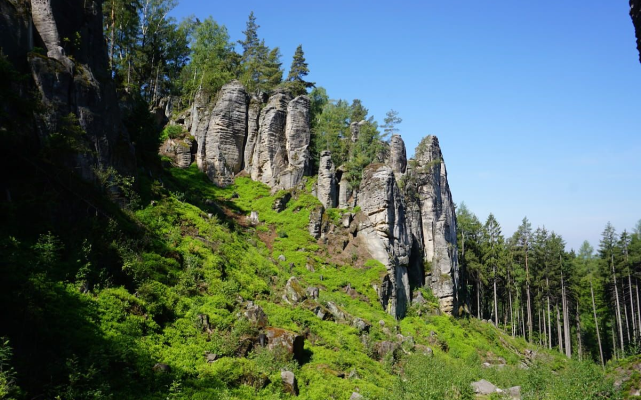 Rocky cliff face above a green forest hillside under a clear blue sky