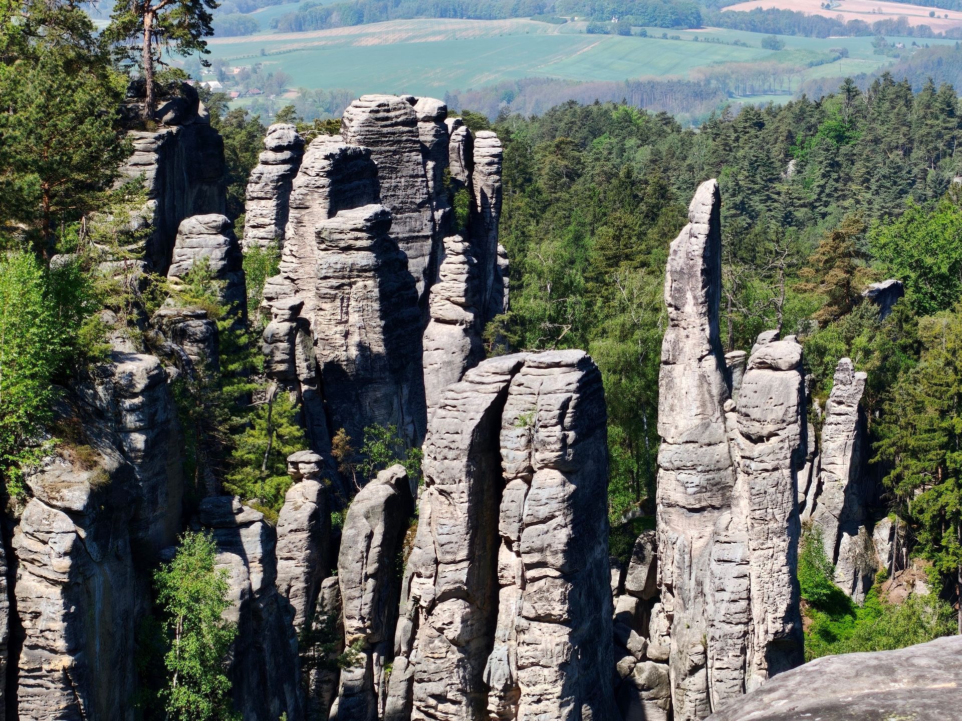 Hohe, graue Felssäulen erheben sich aus einer bewaldeten Landschaft mit fernen blauen Hügeln.