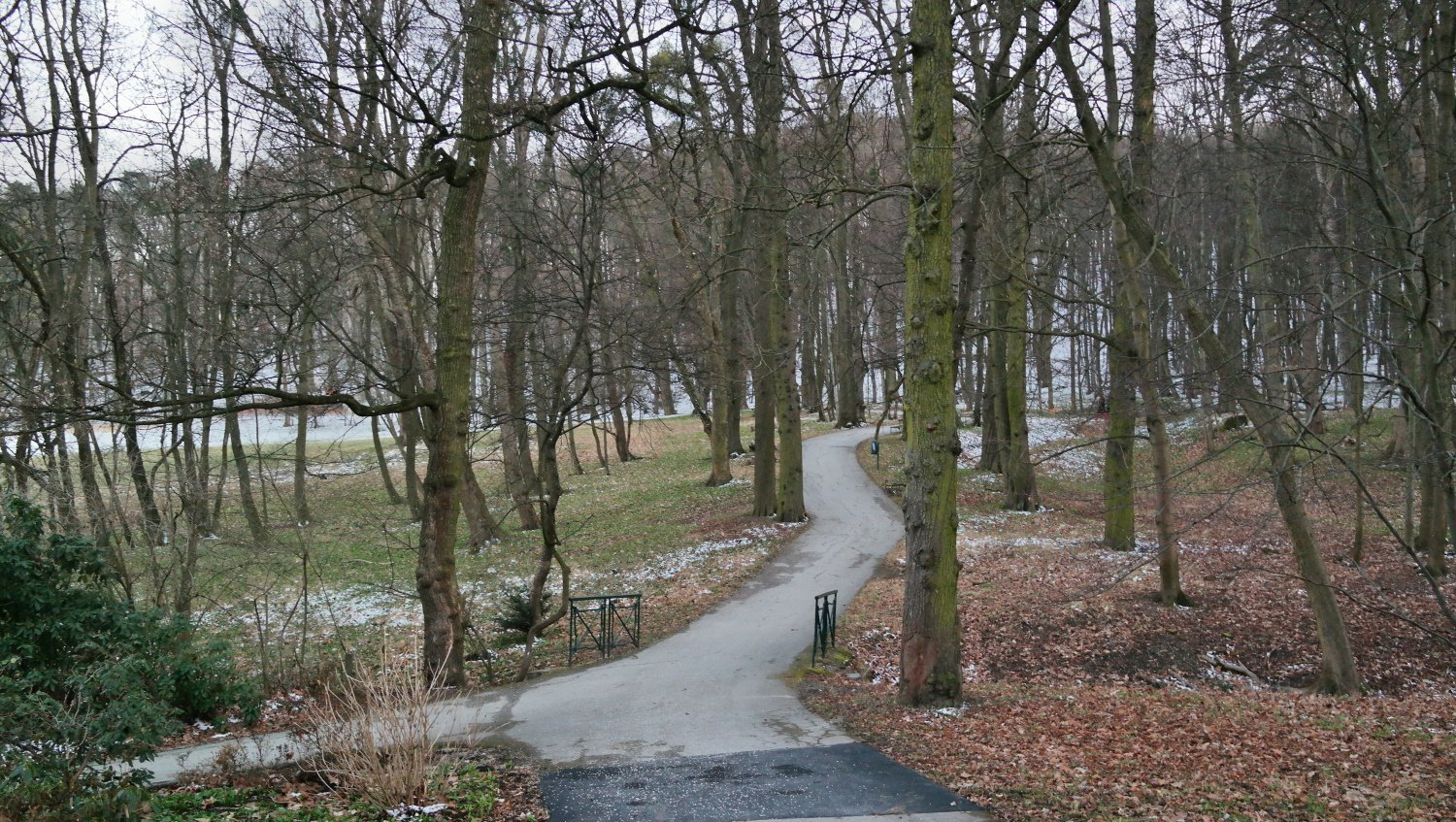 Pötzleinsdorfer Schlosspark. Wald in Wien