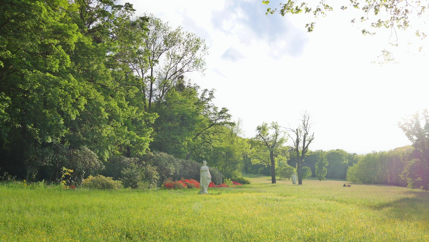 Die große Wiese im Park. Wien.