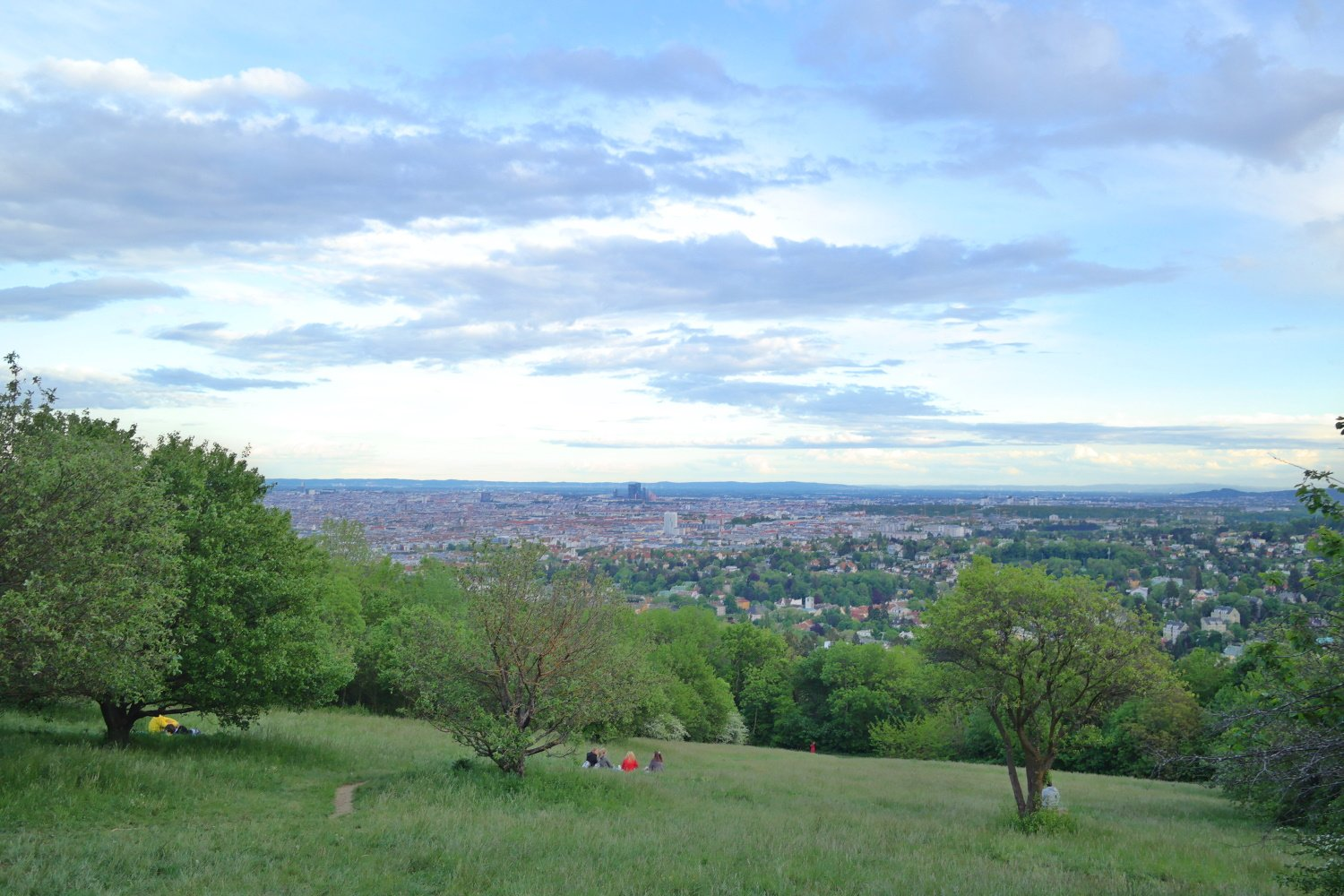 Die Schafbergwiese in Wien