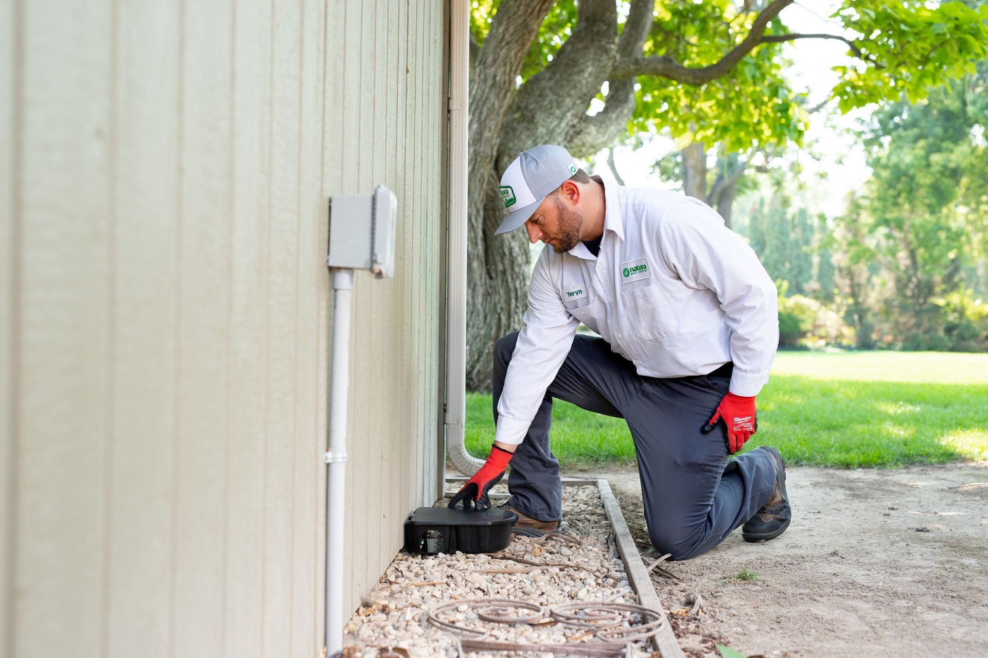 Pest-Proofing Tips for Nevada Homes