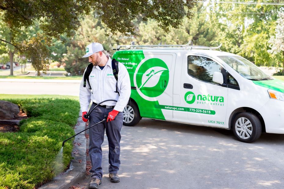 A man is spraying a lawn next to a van.