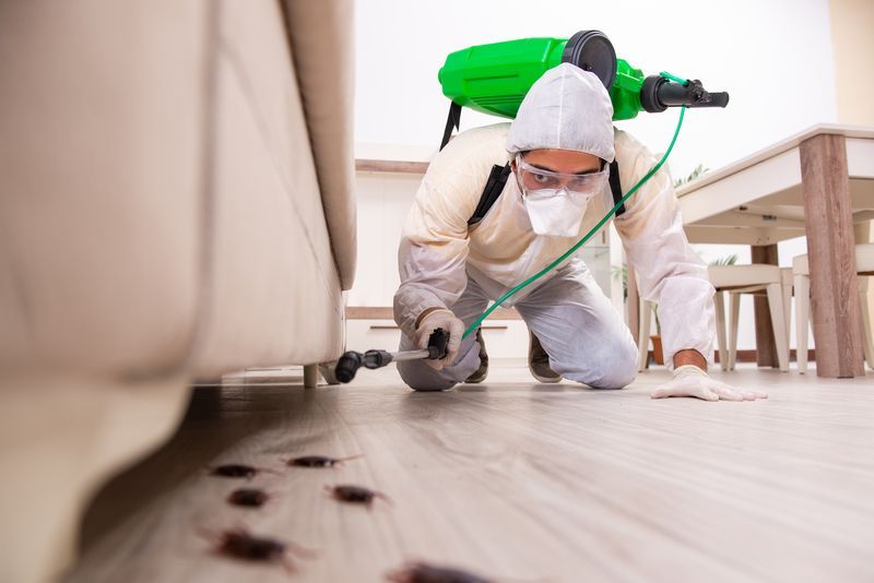 Signs You Need Pest Control Services