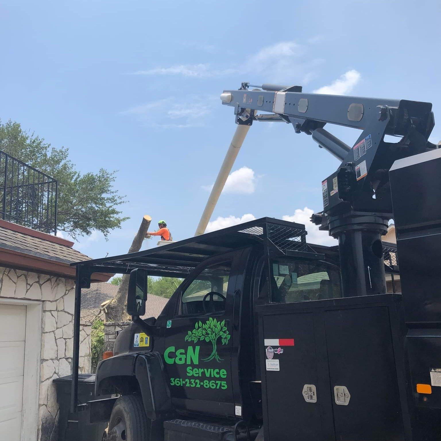 Corpus Christi Tree Removals