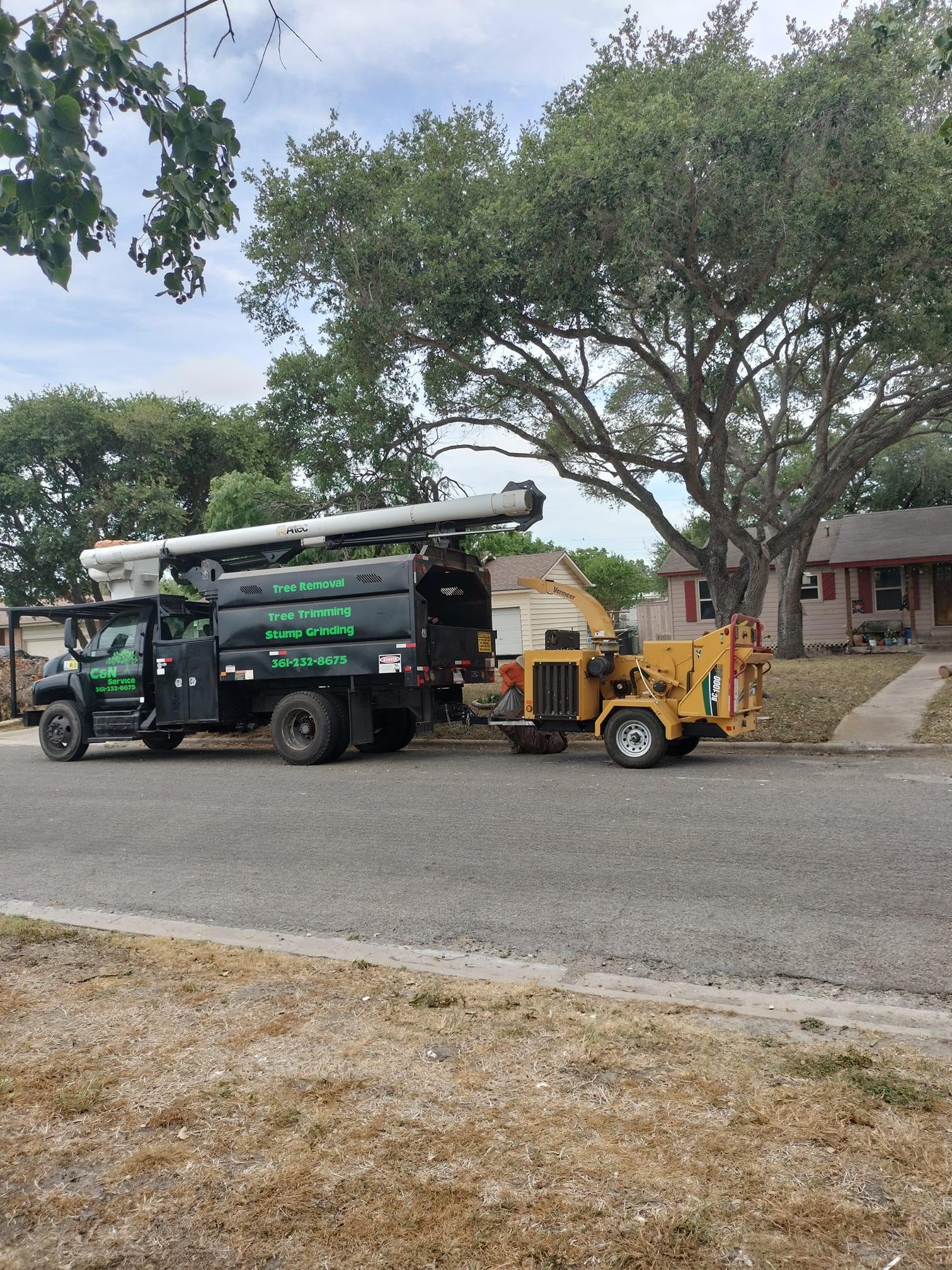 Corpus Christi Tree Removals