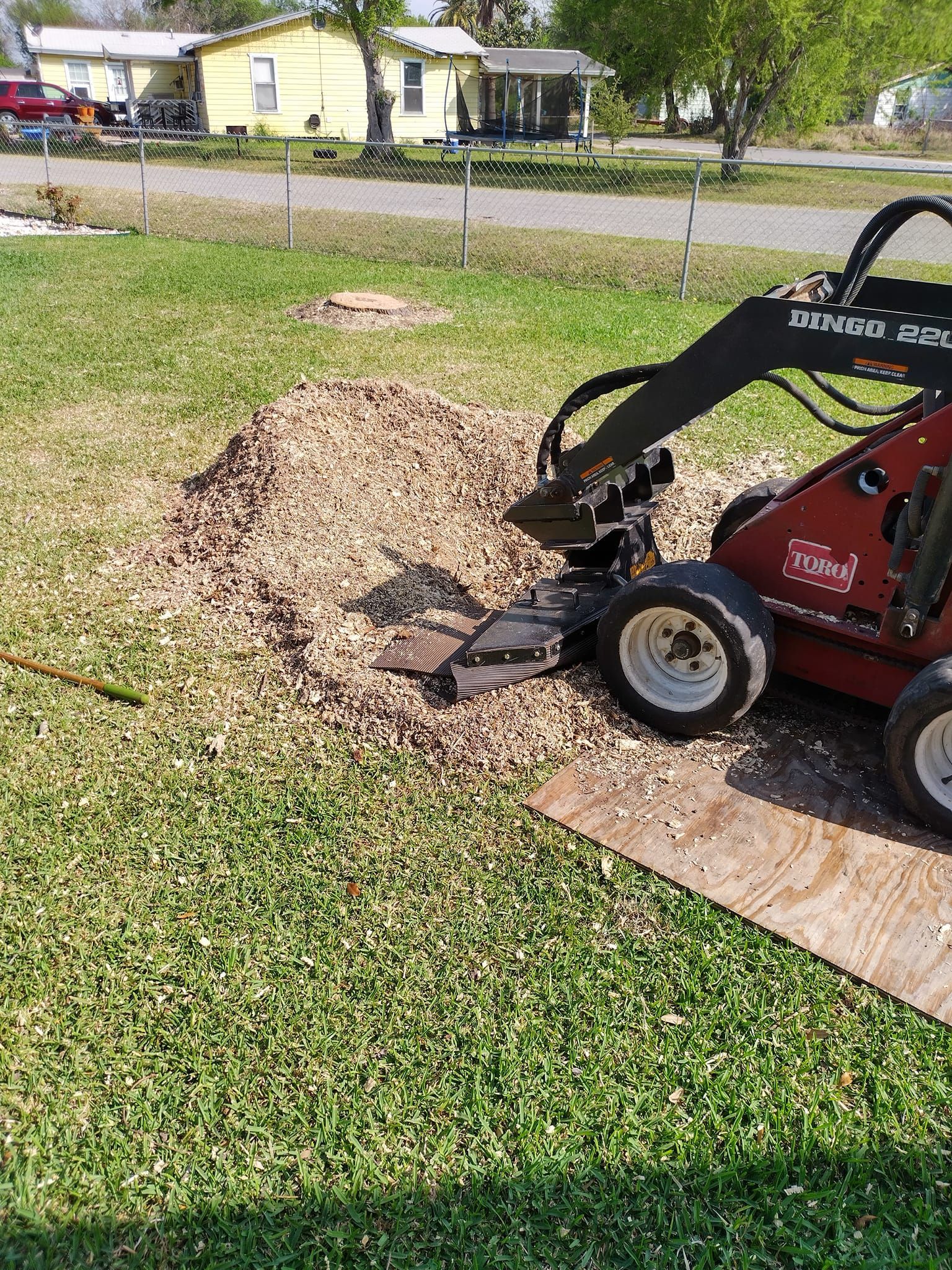 Corpus Christi Stump Grinding