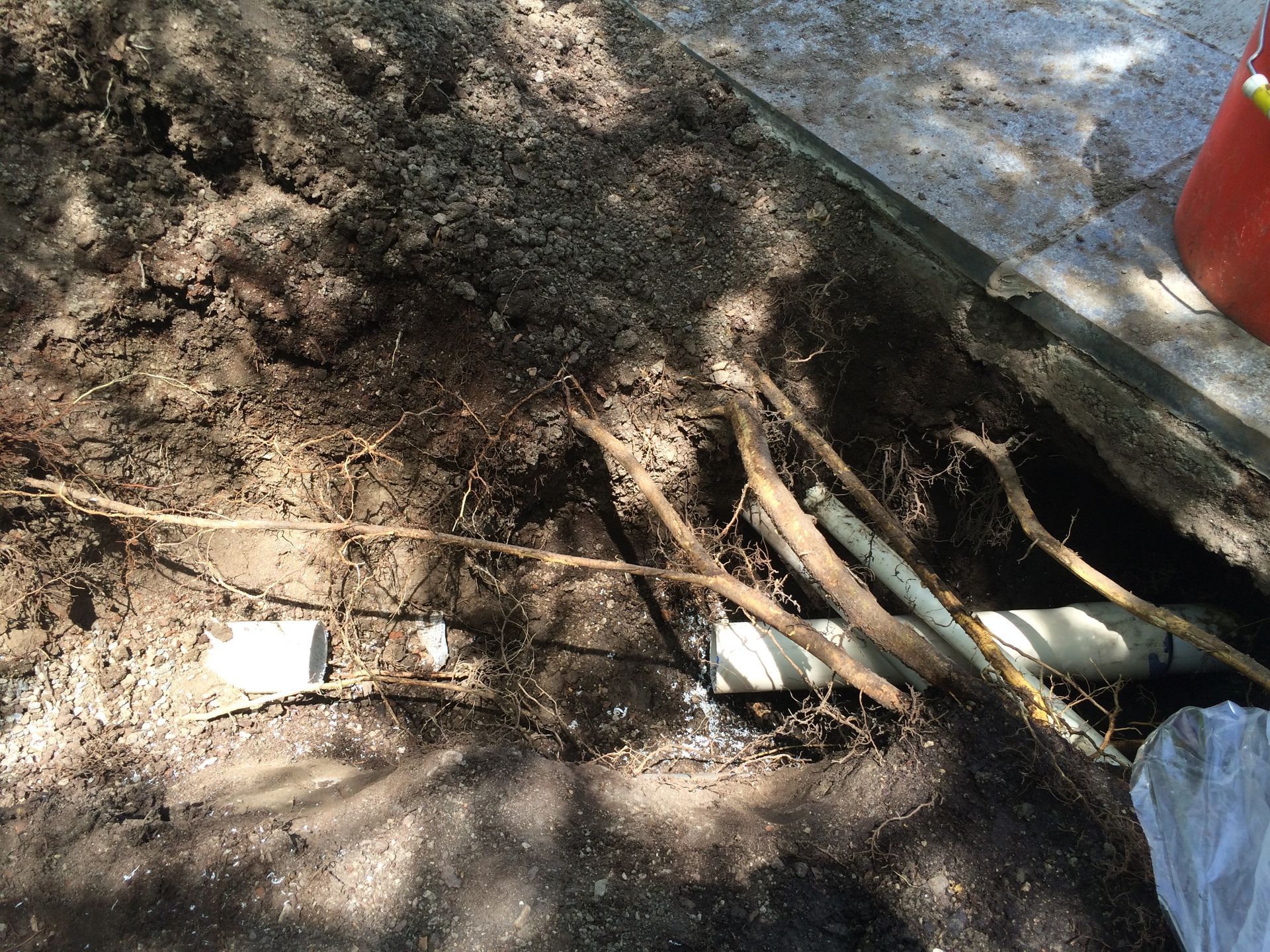 Dirt with exposed pipes and roots next to a concrete edge. A red bucket is visible in the background.
