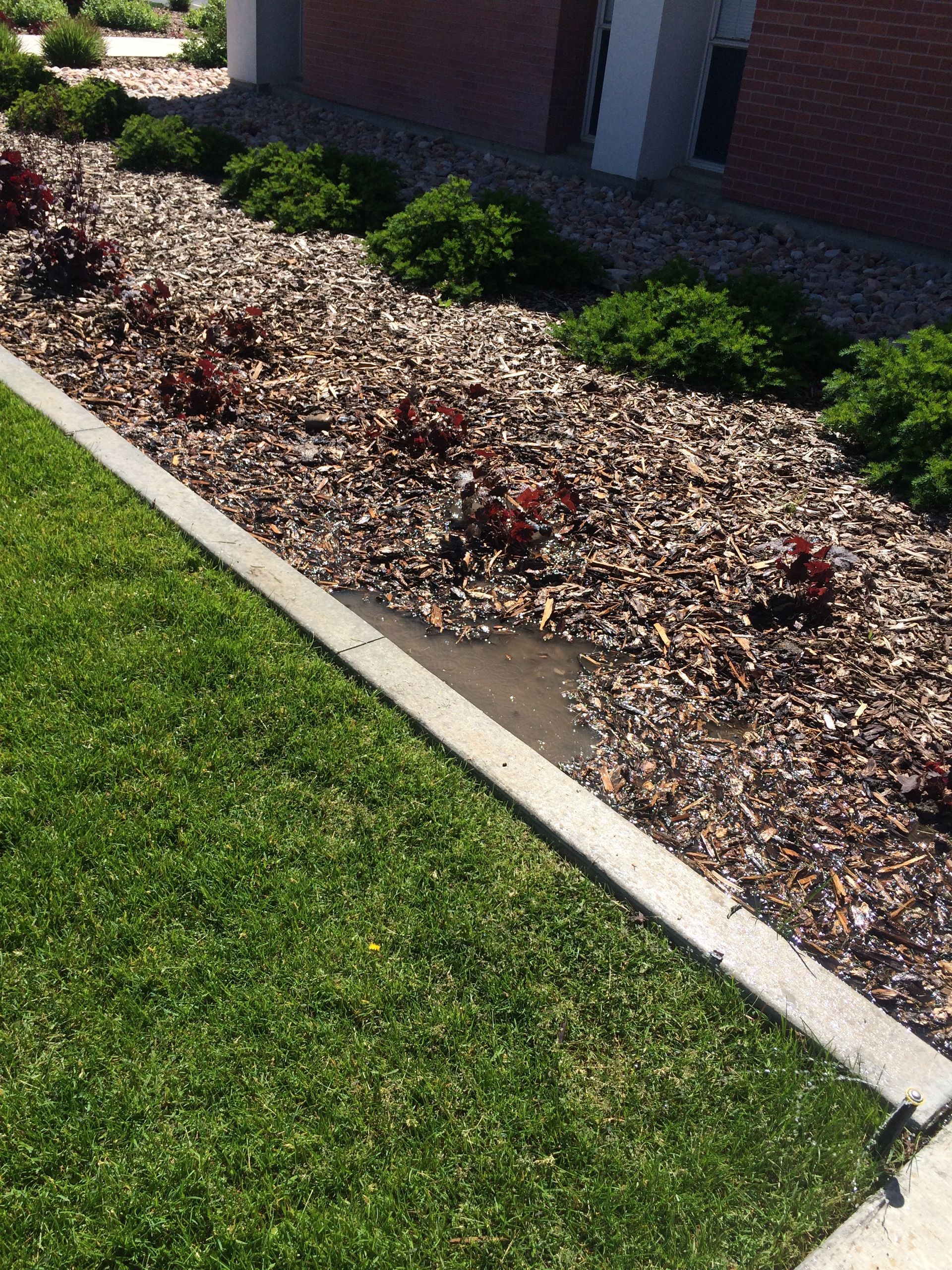 Green lawn borders a flower bed with brown mulch, red plants, and green bushes along a building.