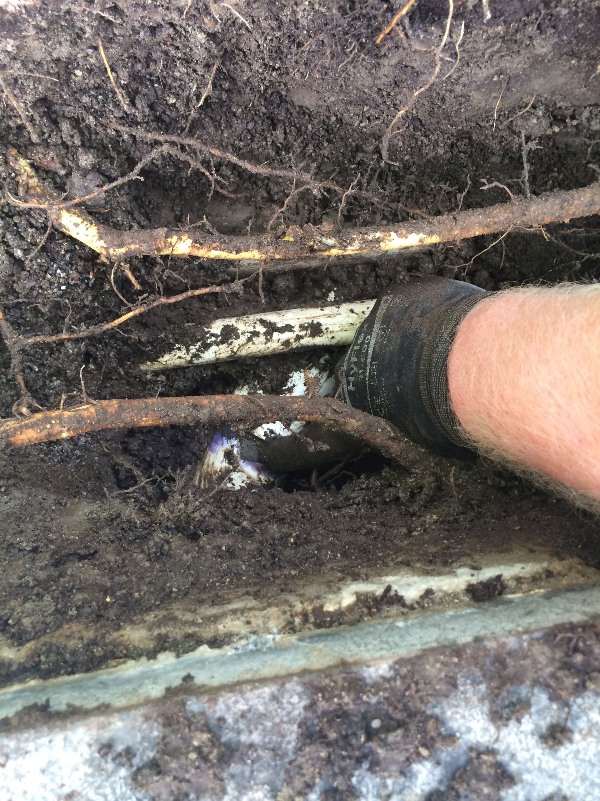 Person's hand in a black glove reaching towards exposed pipes and roots in a dirt trench.