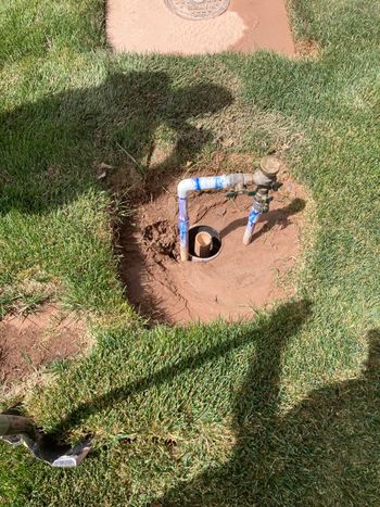 Sprinkler watering green grass in a yard, with trees in the blurry background.