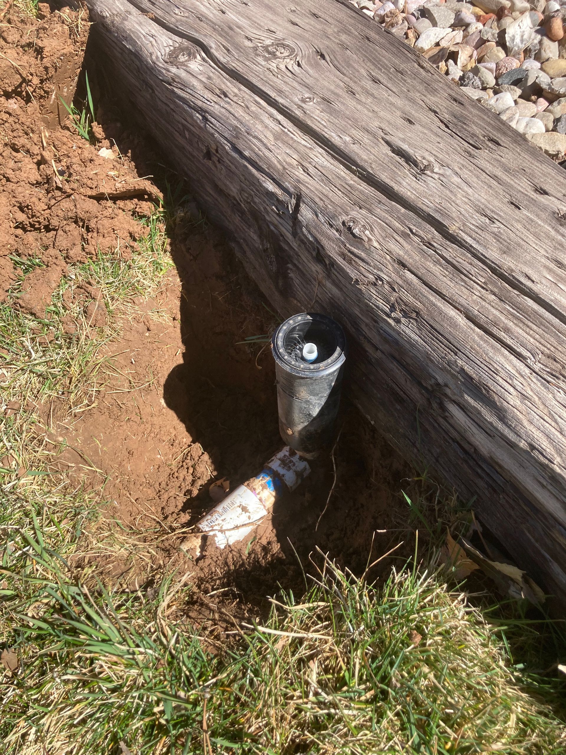 Sprinkler head next to wooden border in a dirt patch with grass.