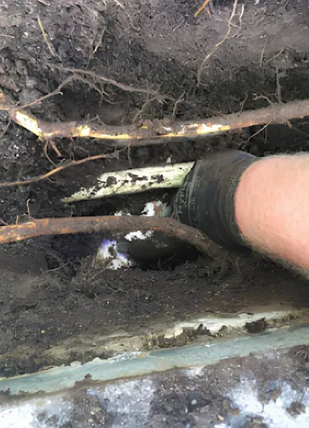 Hand reaching into soil, examining broken white pipe with roots, outdoors.