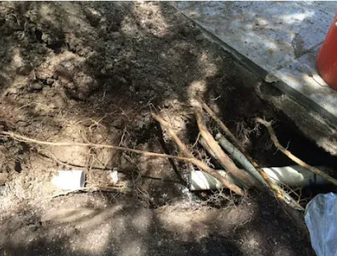 Roots and pipes in a dirt trench; excavation of a broken plumbing system.