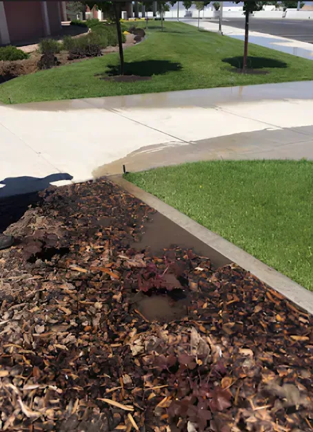 Water spraying from sprinkler onto mulch-covered soil, spilling onto a sidewalk and grass.