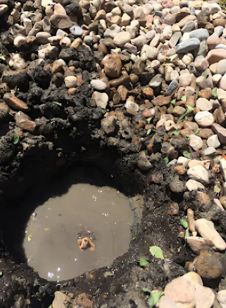 A water-filled hole in dark soil surrounded by gravel and small pebbles outdoors.