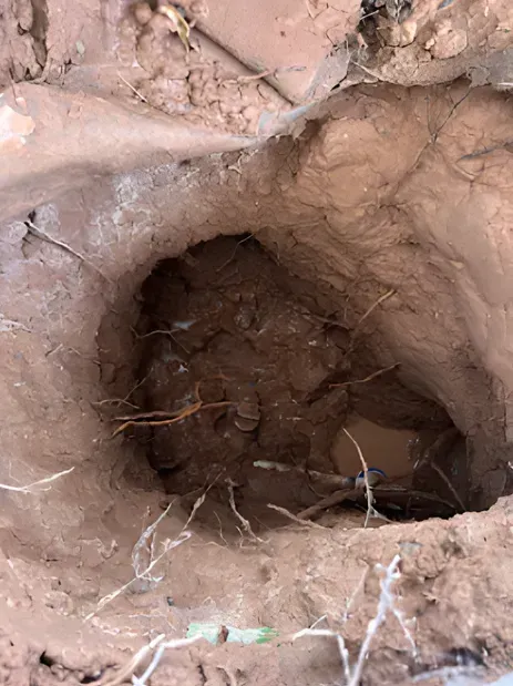 Hole in the ground, brown soil walls, dark interior. Small roots and some water visible at the bottom.