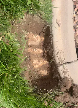 Dirt and grass next to a concrete curb, revealing the bottom of something.