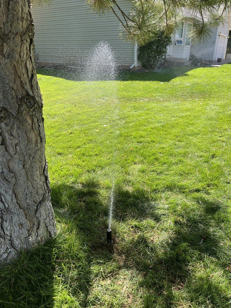 A sprinkler watering a green lawn in front of a light green building with a tree in the foreground.