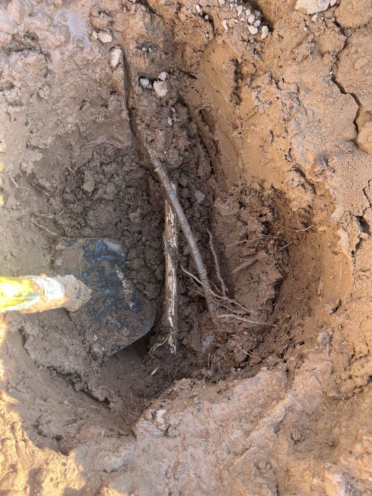 A shovel digs into dirt, revealing plant roots in a sunlit outdoor setting.