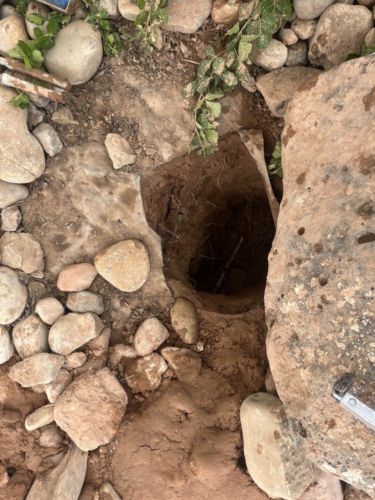 Hole dug in dirt, surrounded by rocks and vegetation; likely an archeological site or excavation.