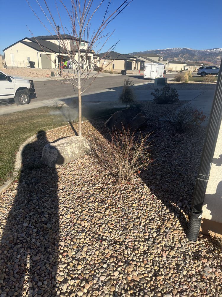 Shadow of a person watering a front yard, gravel bed with bushes, houses, and a bare tree.