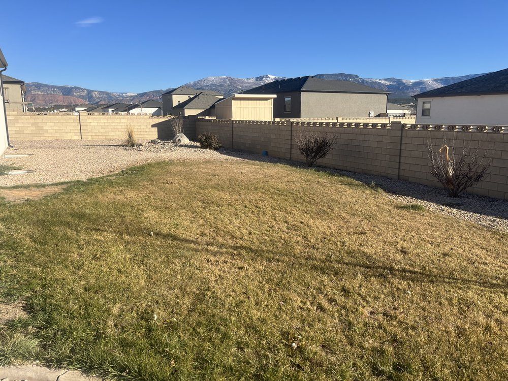 A backyard with dry grass, a concrete wall, and houses in the background, with snow-capped mountains visible.