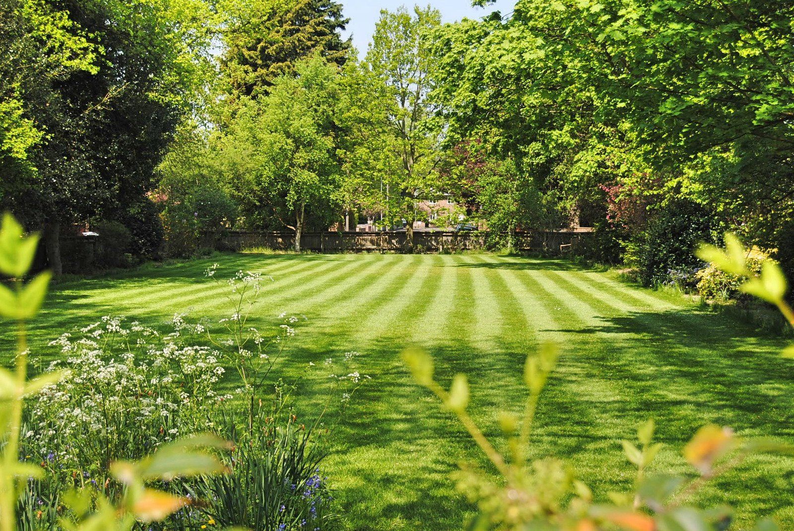 Lawn spreader dispensing granules on green grass.