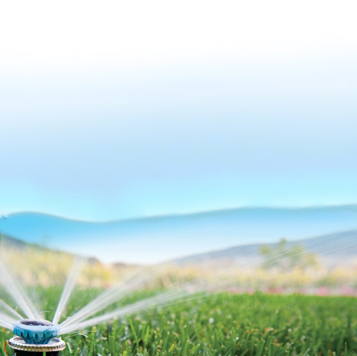 A sprinkler is spraying water on a lush green field.