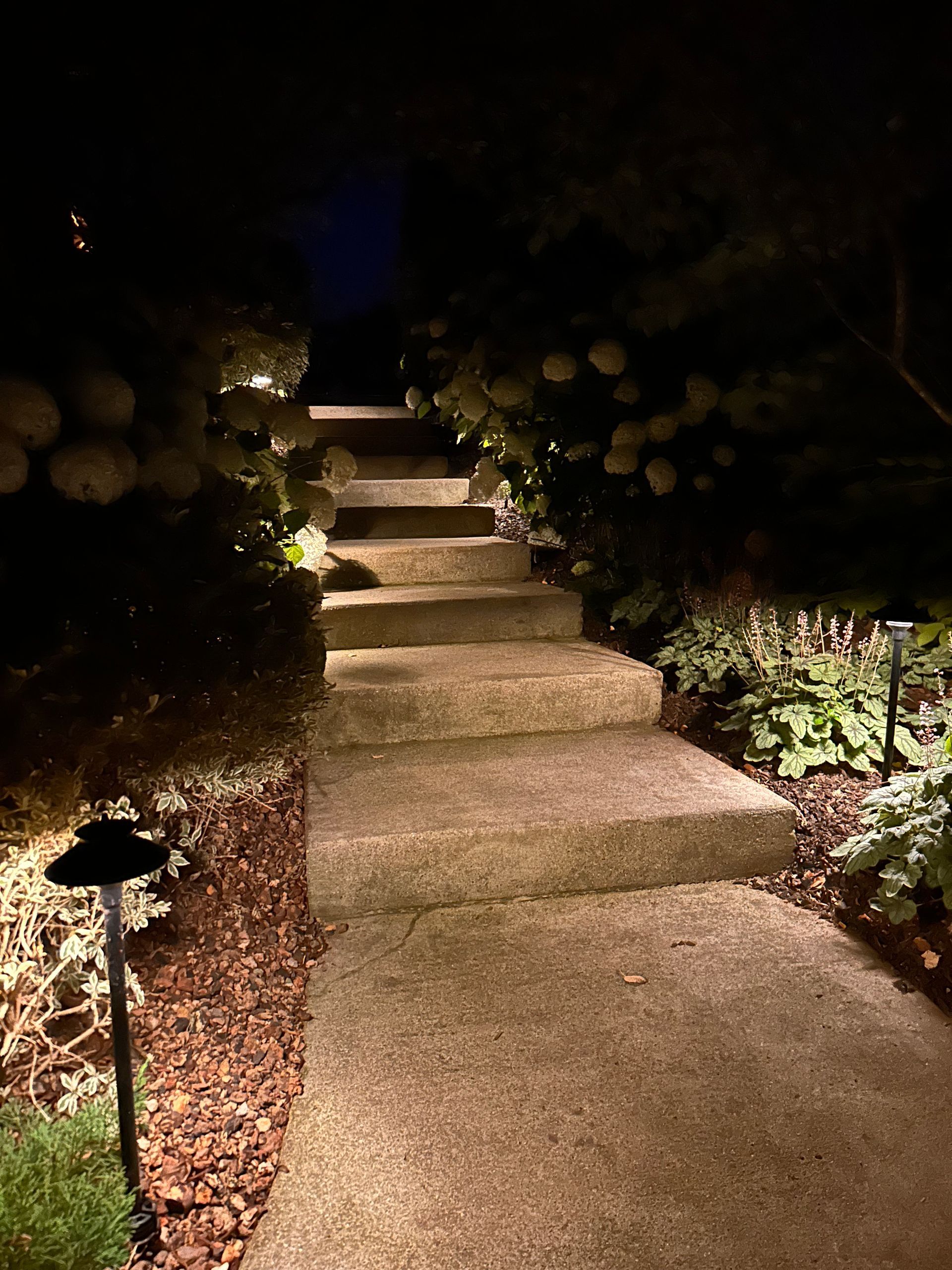 A concrete walkway with stairs leading up to a house at night.