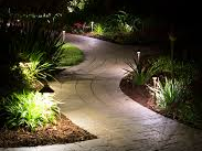 A path in a garden is lit up at night.