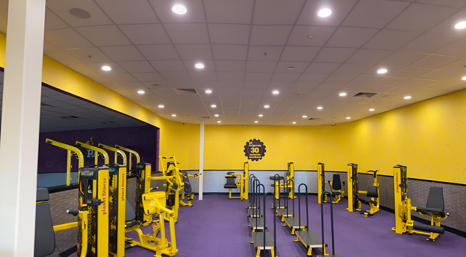 A Gym With A Lot Of Yellow And Purple Equipment  — Waltlec Industries In Garbutt, QLD