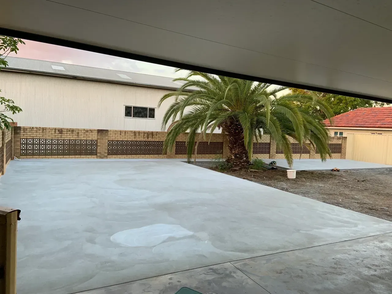 Concrete Driveway With a Palm Tree — Pedro's Concreting in Toowoomba, QLD