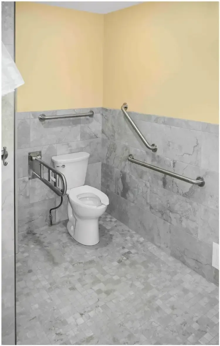 a handicapped bathroom with a toilet and handrails .