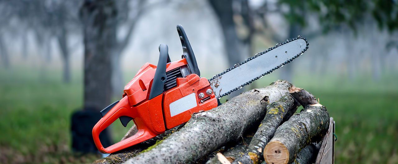 wood cutting equipment