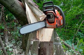 high quality tree cutting service