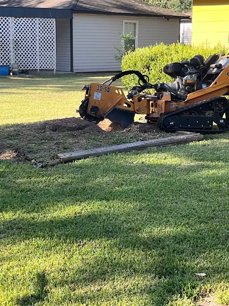 A yellow stump grinder sits on a lawn in front of a residential house, actively grinding a tree stump.
