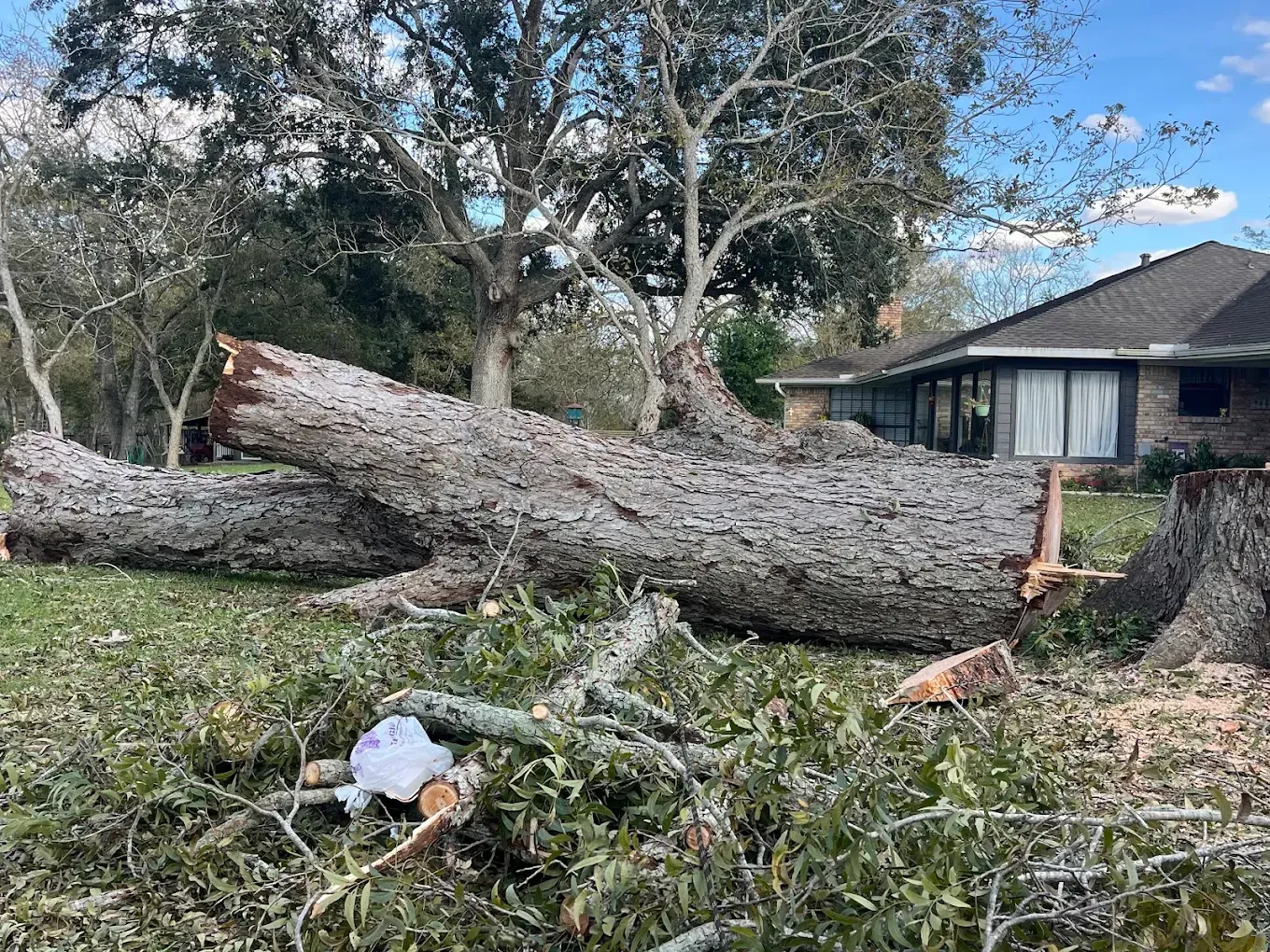 A large, downed tree trunk lies across a residential lawn next to a house with a brick exterior.