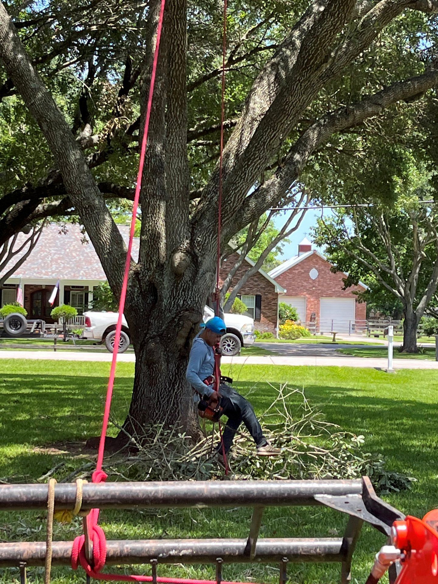 A worker in a blue helmet is suspended from a tree by a red rope while trimming branches in a sunny residential yard.