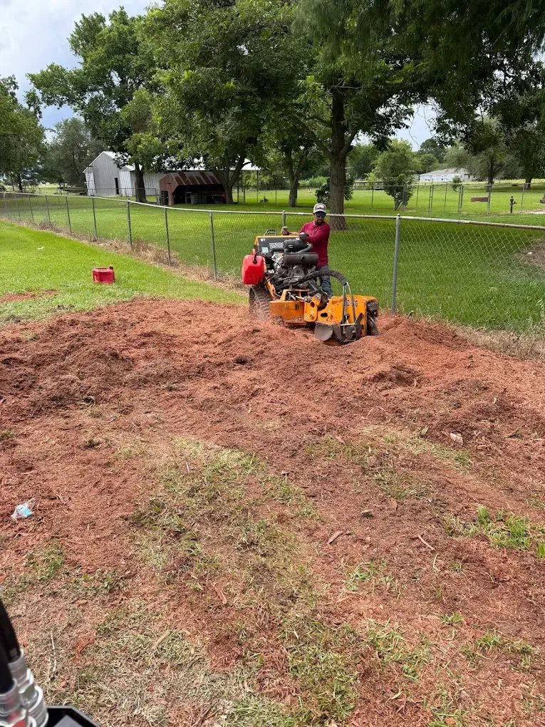 A person operates a yellow stump grinder on a patch of turned-up red soil near a chain-link fence and green trees.