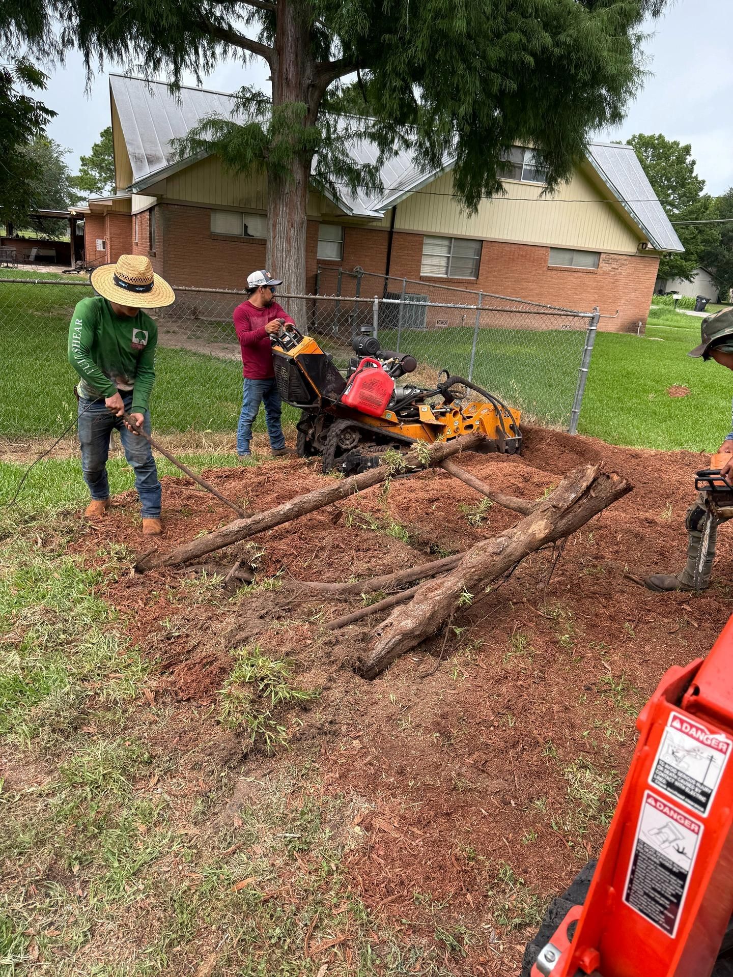 Two workers clearing branches near a house, with a stump grinder nearby on a yard covered in wood chips.