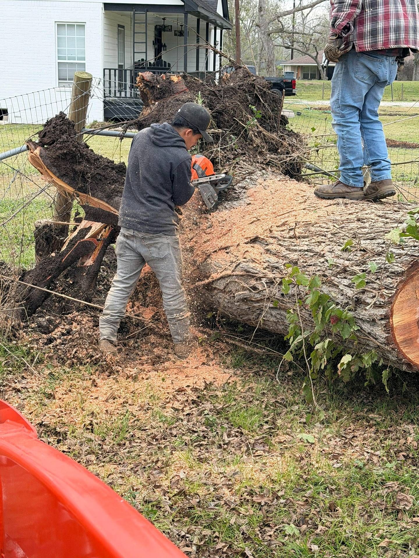 Two people cutting a fallen tree trunk with a chainsaw in a residential yard.