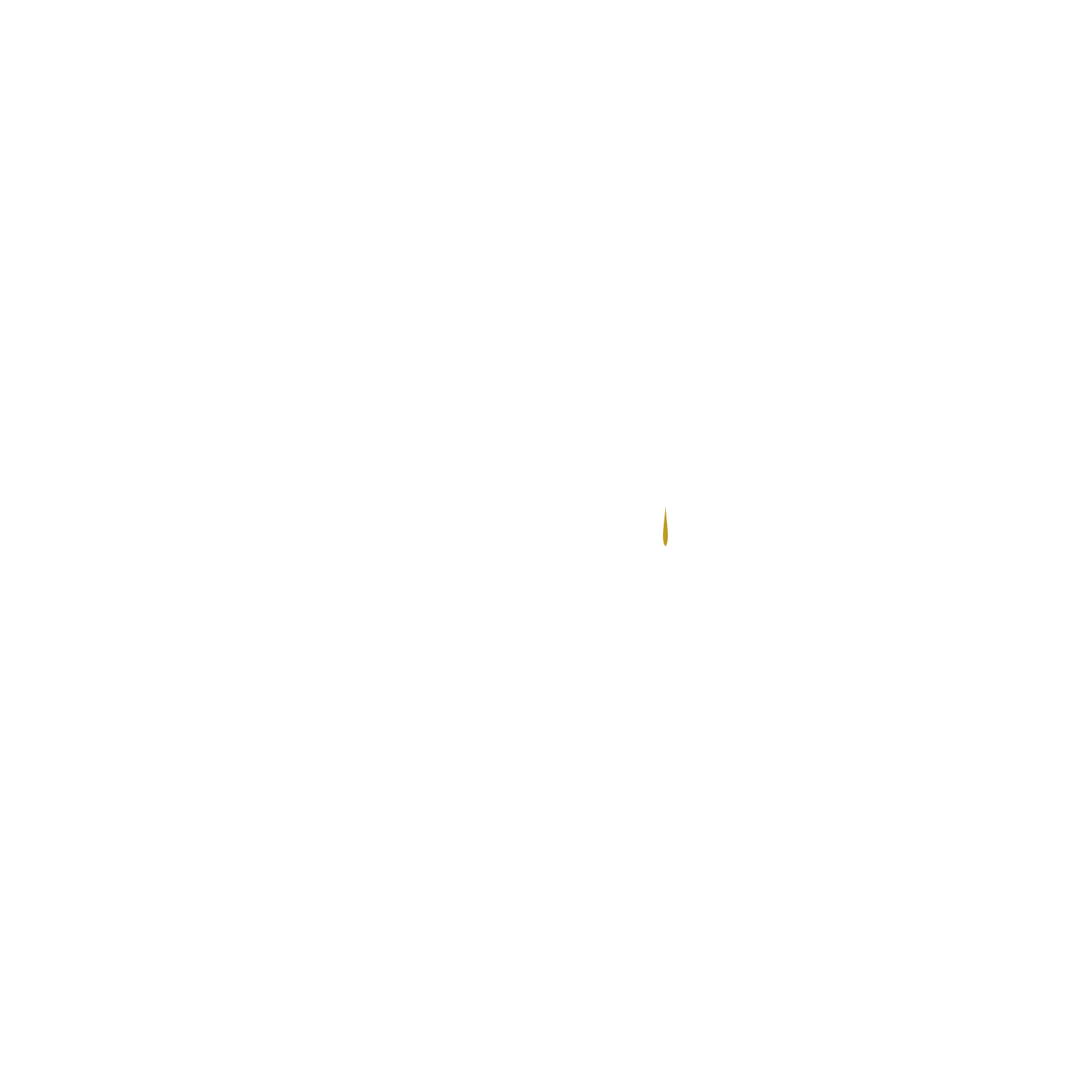 The logo for scalp micro pro is a silhouette of a woman 's head with dots on it.