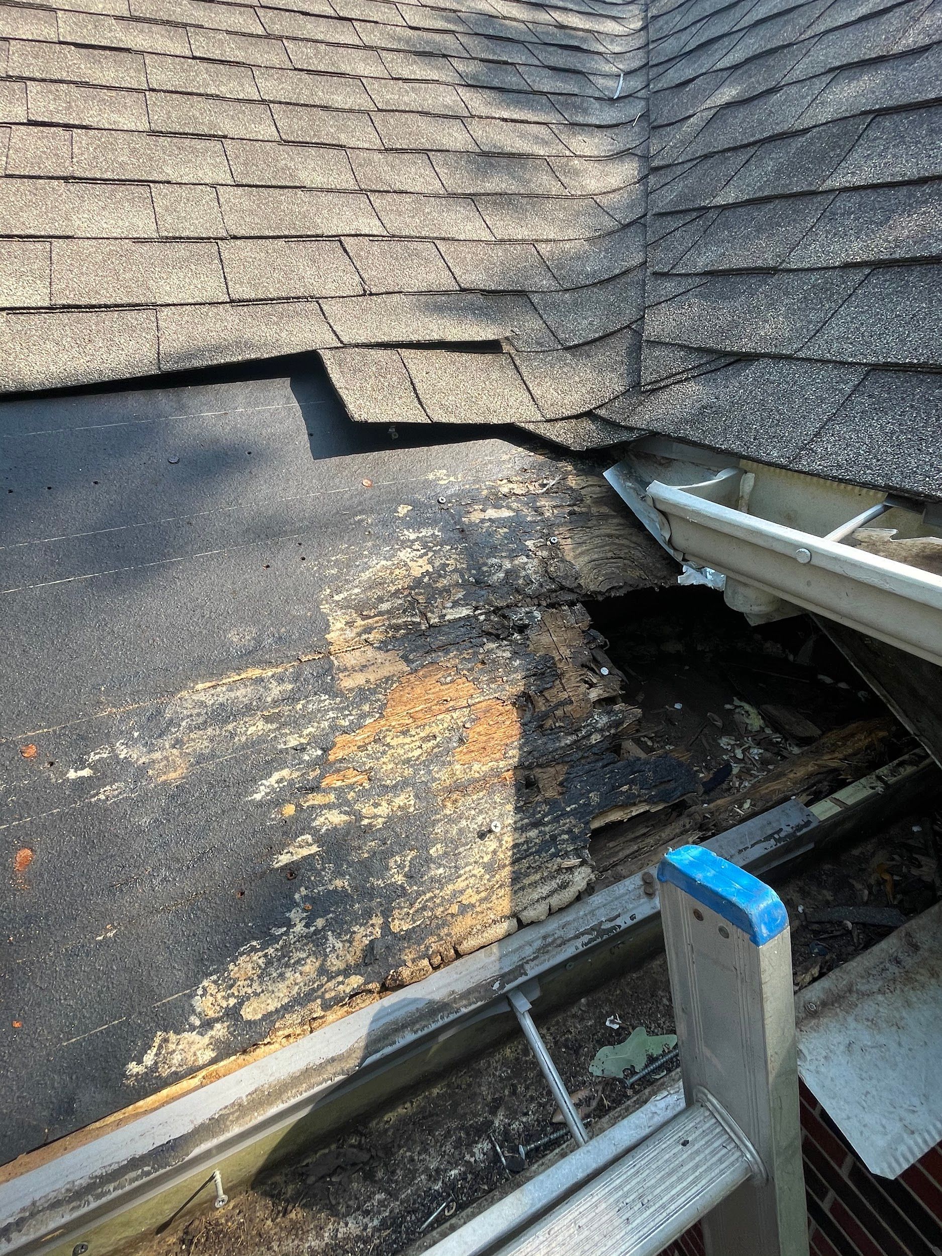 Damaged roofing shingles and underlayment near a gutter; wood rot is visible. The view is from above.