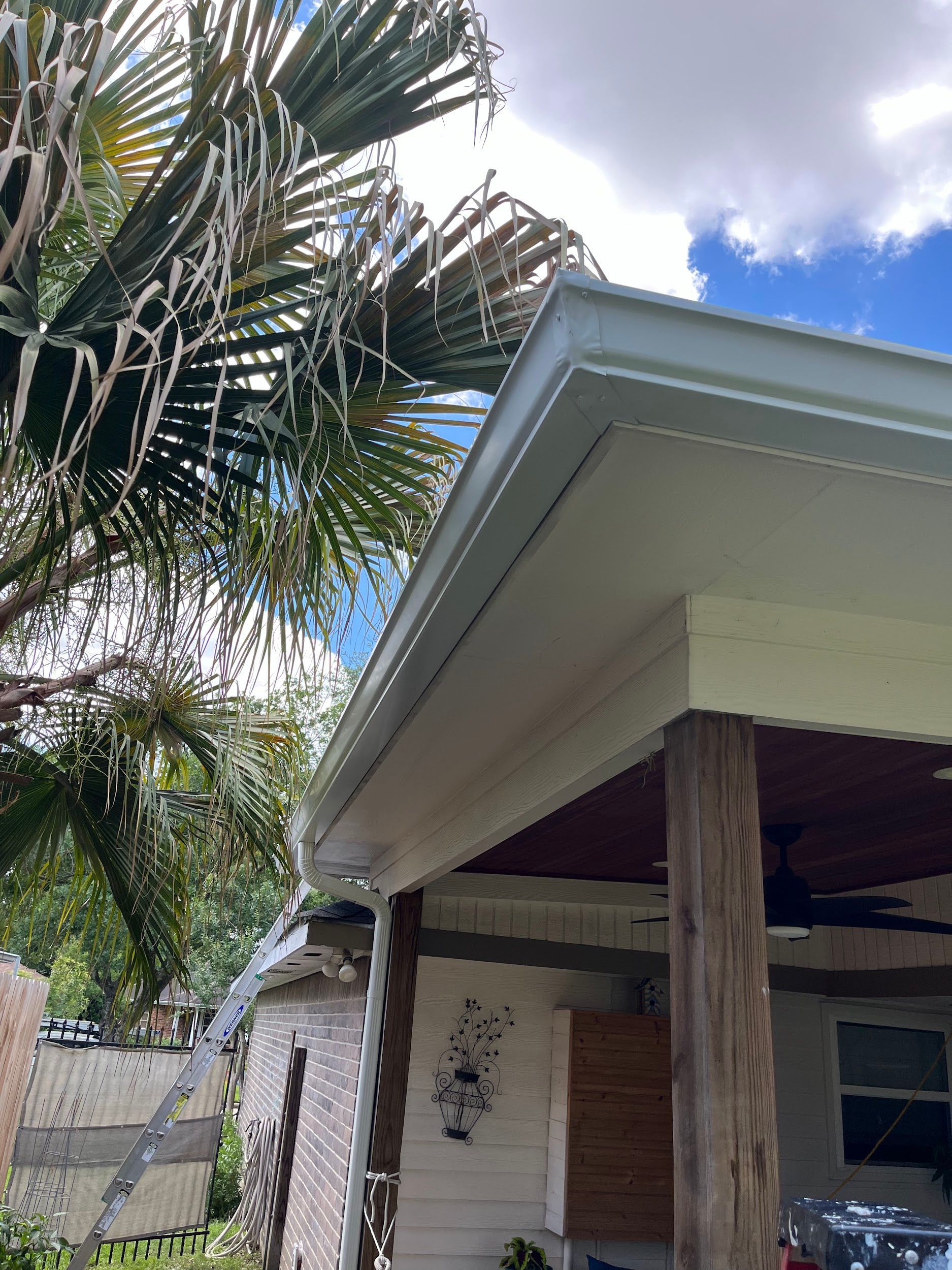 Close-up view of a house exterior with white siding, a porch roof, gutters, and a palm tree. Cloudy sky.