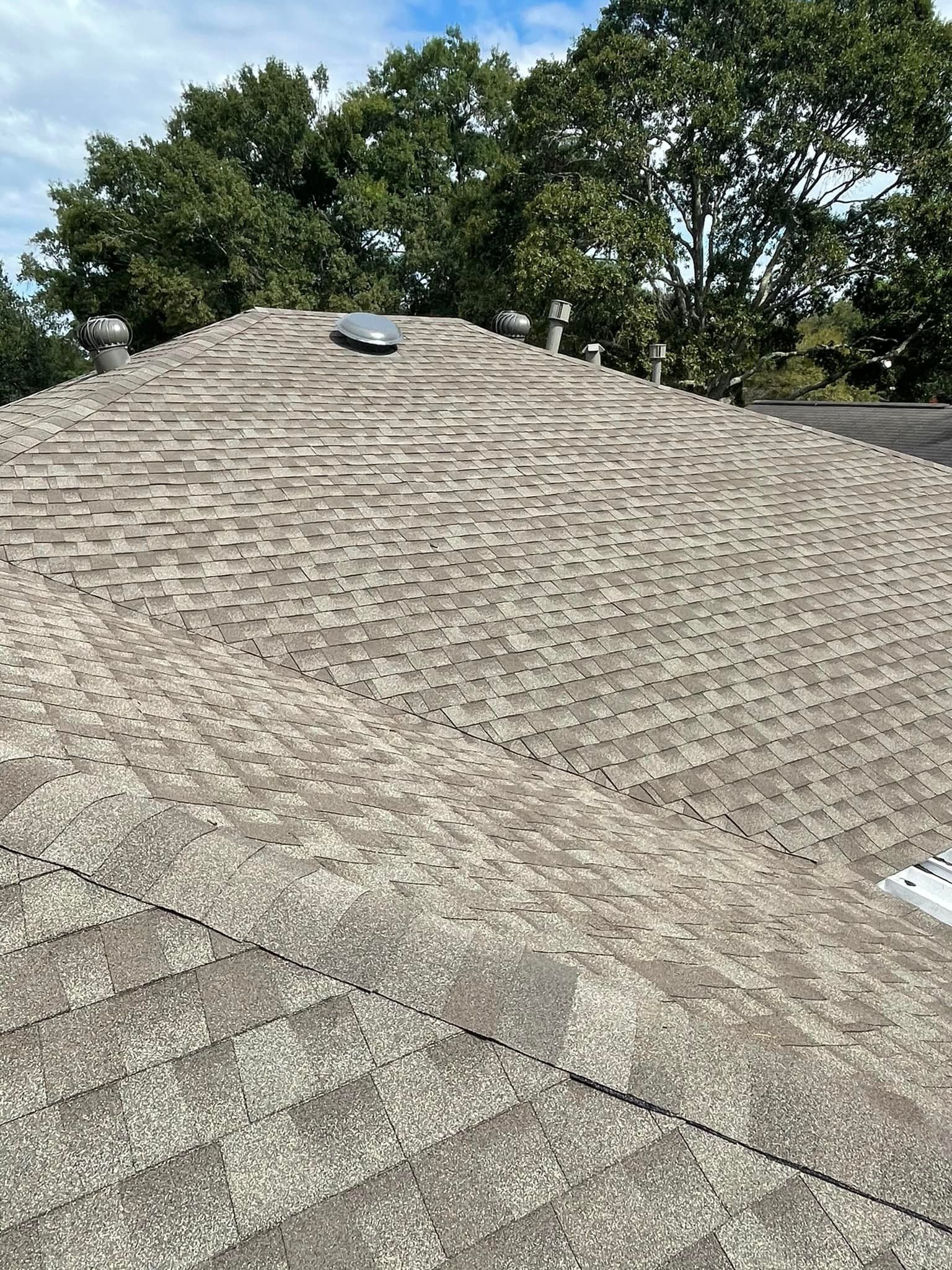 A gray, weathered shingle roof with visible moss or algae growth, under a cloudy sky, trees in the background.