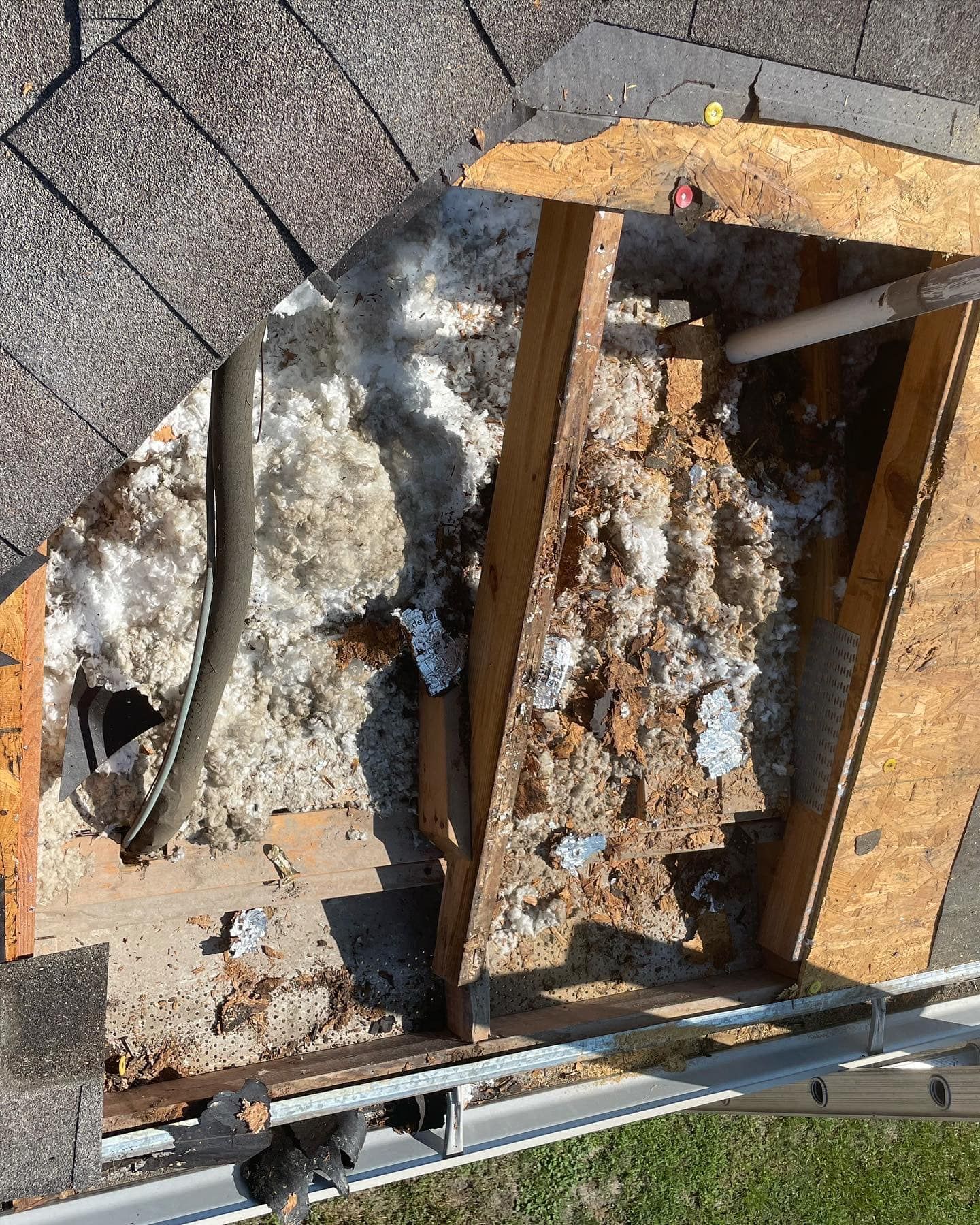 Hole in roof with damaged wooden support and insulation, near a gutter. Visible brown rot and a black hose.
