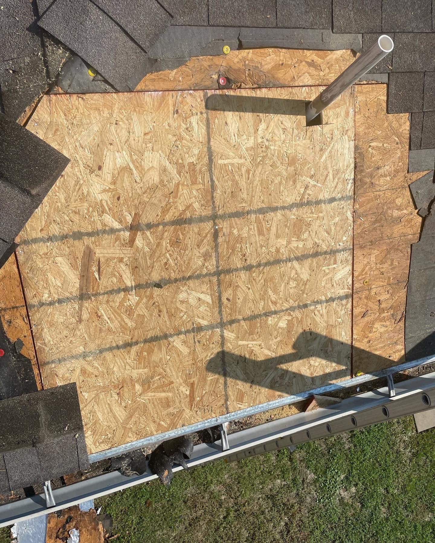 OSB board patching a section of a dark shingled roof, with a metal ladder and a PVC pipe extending from it.