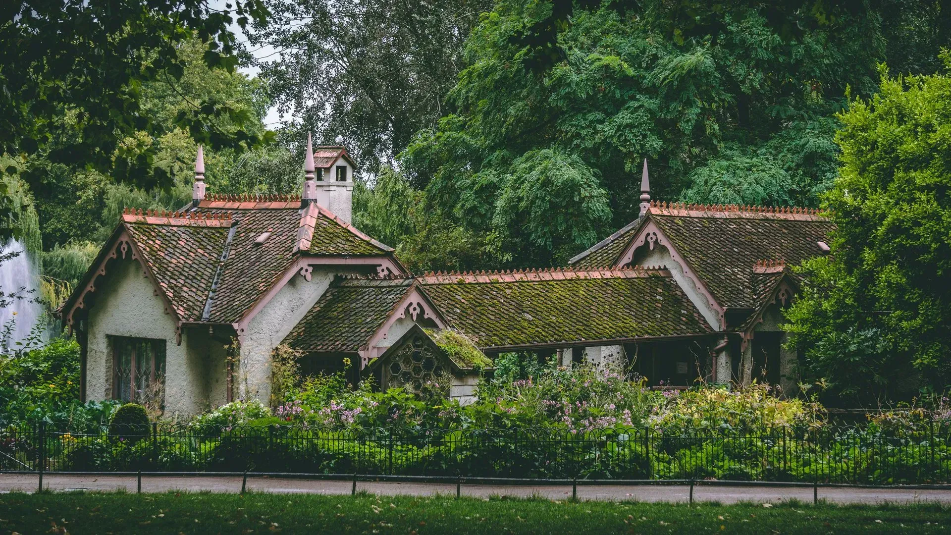 Weathered cottage with mossy roof surrounded by lush green foliage and a wrought iron fence.